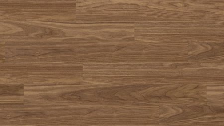 Noce 2 Walnut 2
