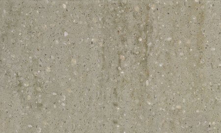 Corian Willow