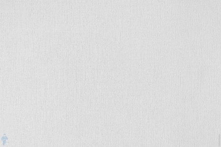 Обои Rasch Wallton 165210