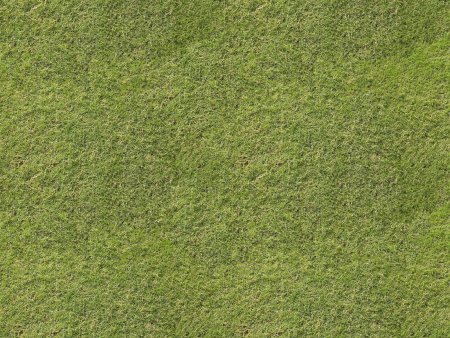 Grass texture бесшовная