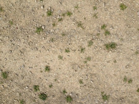 Песок с травой текстура