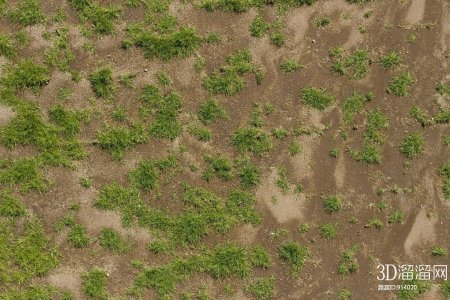 Бесшовная текстура песка с травой (44 фото)
