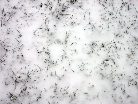 Бесшовная текстура травы со снегом (42 фото)