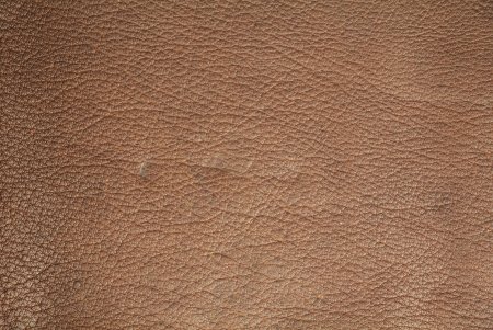 Коричневая кожа
