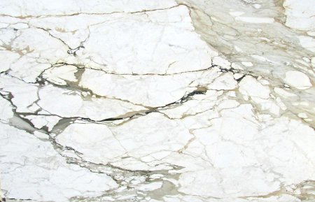 Calacatta Paonazzo Marble