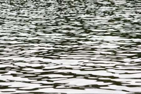 Черная гладь воды