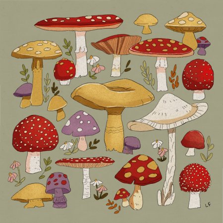 Рисунки инди КИД грибы