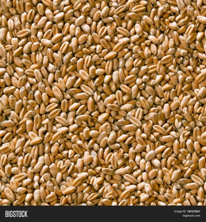 Фактура зерно