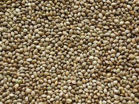 Seeds семена конопляные