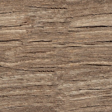 Текстура рога