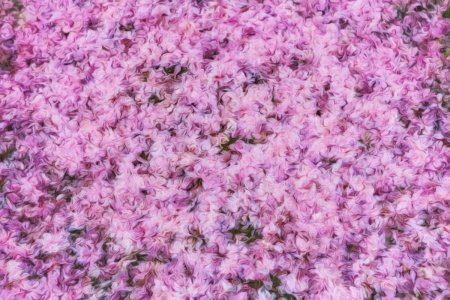 Текстура травы