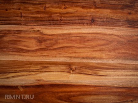 Акация текстура древесины