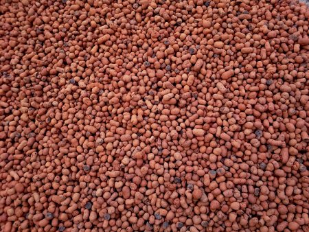 Керамзит texture
