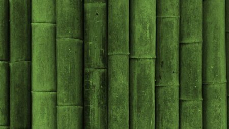 Palm Bark