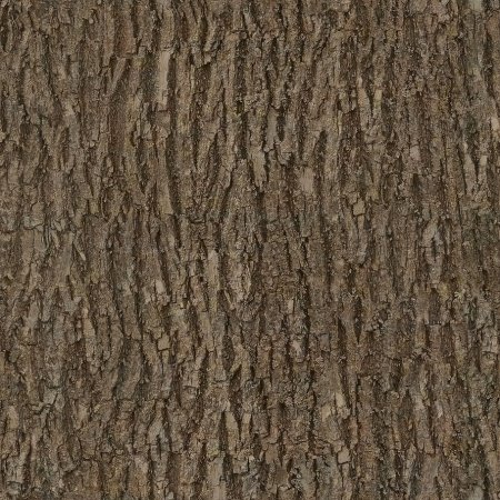 Spruce Bark texture бесшовная