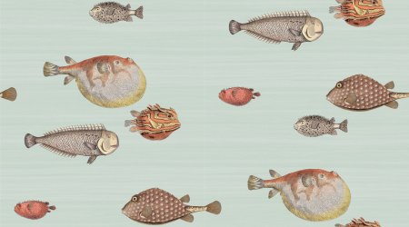 Обои Cole&son Fornasetti senza tempo