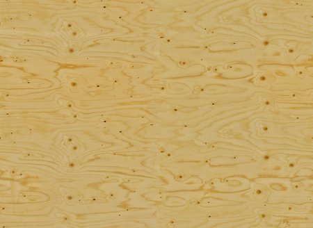 Spruce Bark texture