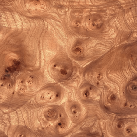 Alpi Elm Burl 10.05