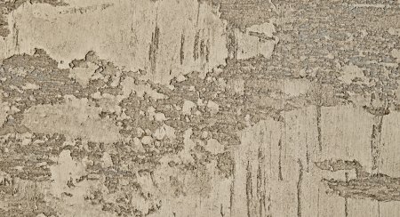 Texture Travertin штукатурка