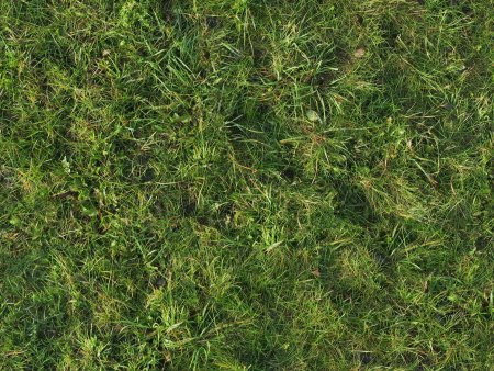 Текстура травы для unity3d