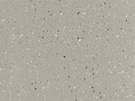 Staron sg428 sanded Goose