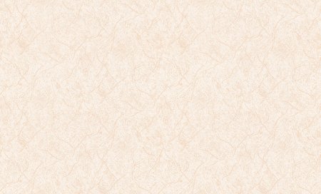 Обои Zambaiti Trussardi 5 z21833