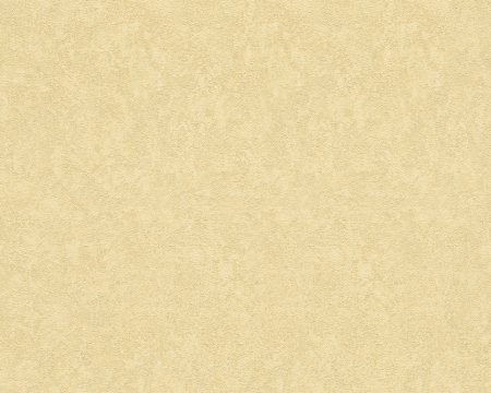 Обои a.s. Creation Versace 93525-3