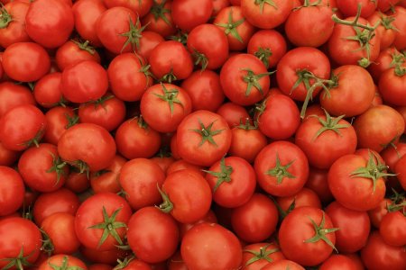 Бесшовная текстура помидора (30 фото)