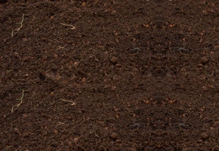 Earth Land Soil ground разница