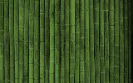 Обои Cole and son Palm Jungle