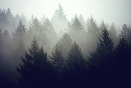 Растительный принт на ткани