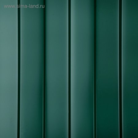 RAL 6005 профлист зеленый мох
