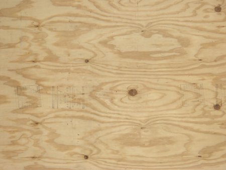 Бесшовная текстура древесины березы (47 фото)