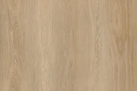H1377 st36 Egger