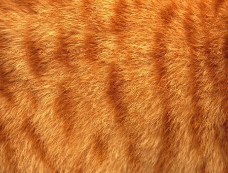 Мех кота