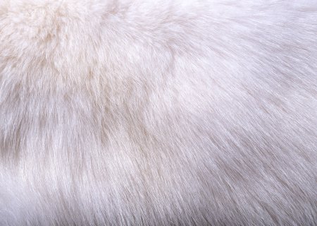 Кошачья шерсть текстура