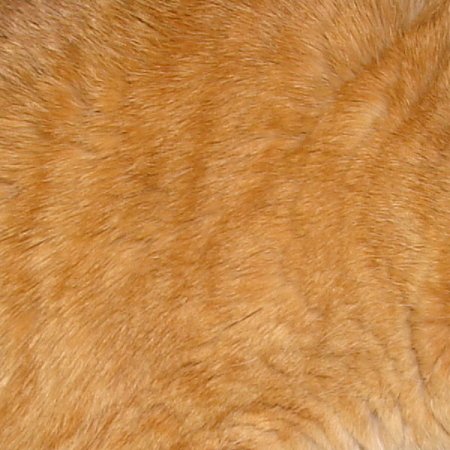 Шерсть кошки