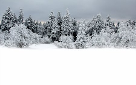 Зима картинки