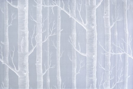 Cole & son, коллекция New Contemporary two