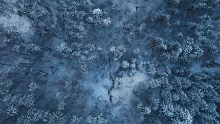 Снег вид сверху
