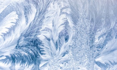 Бесшовная текстура зимнего леса (41 фото)
