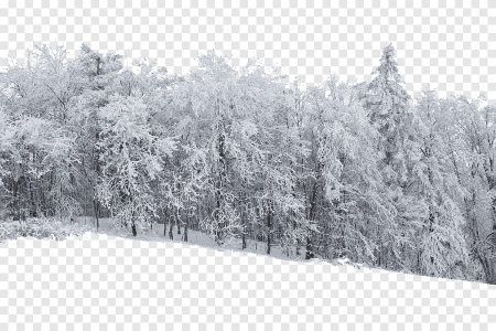 Снежные деревья вдалеке