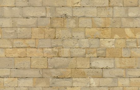 Известняк Shelly limestone