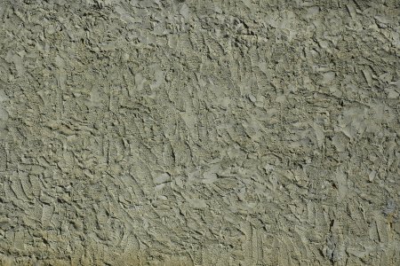 Короед Dirt