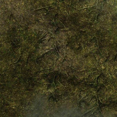 Болотная земля текстура