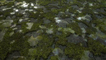 Болото сверху