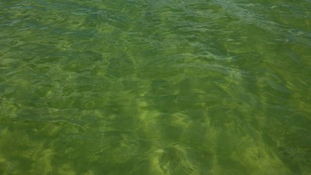 Мутная вода текстура