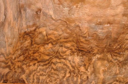 Walnut Burl Wood текстура