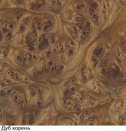 Elm Burl (корень светлый) 046