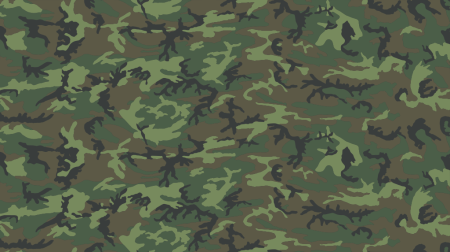 Камуфляж Brown ERDL